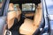 2022 Jeep Grand Cherokee 4xe Summit